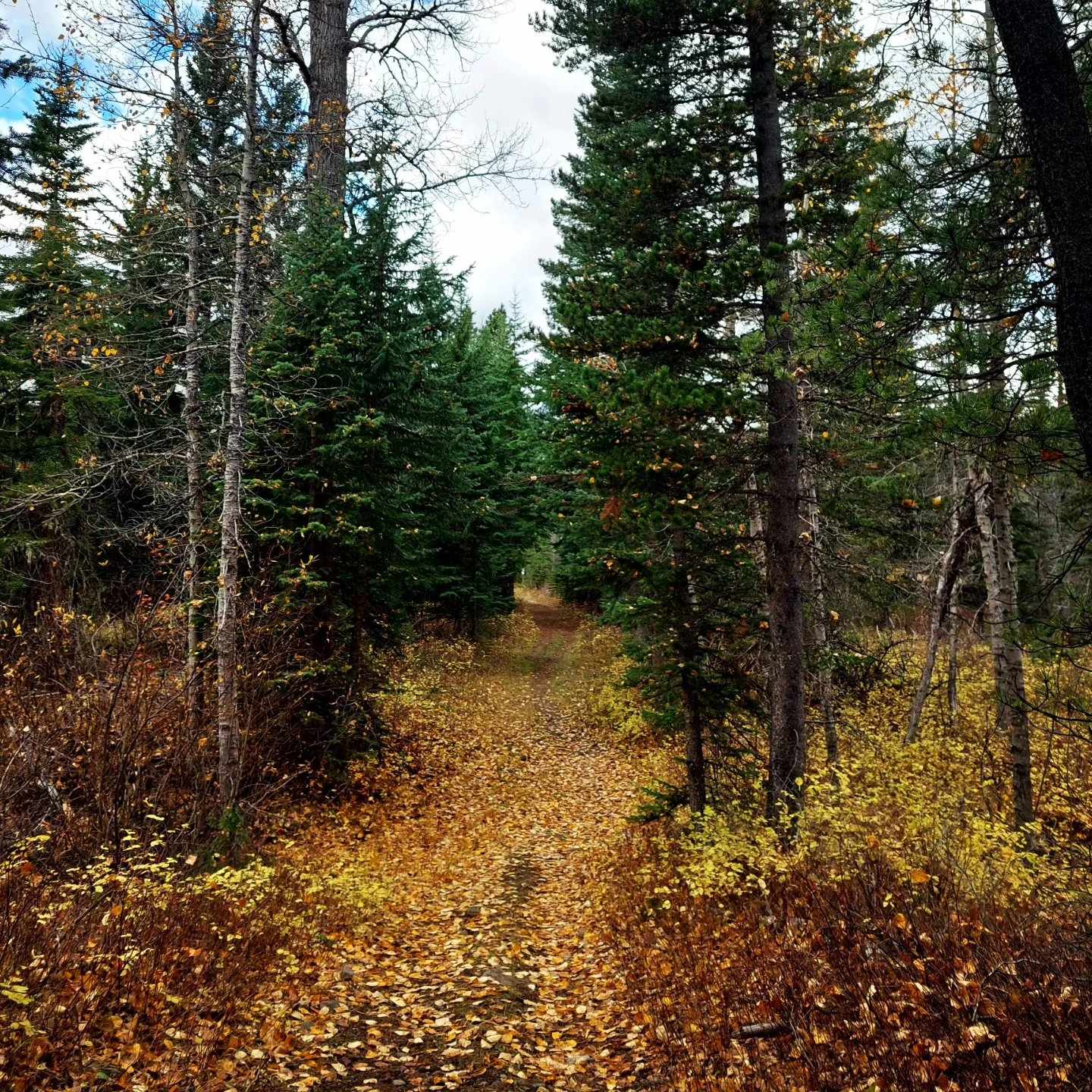 393937830_670533701711380_5383842984240500099_n